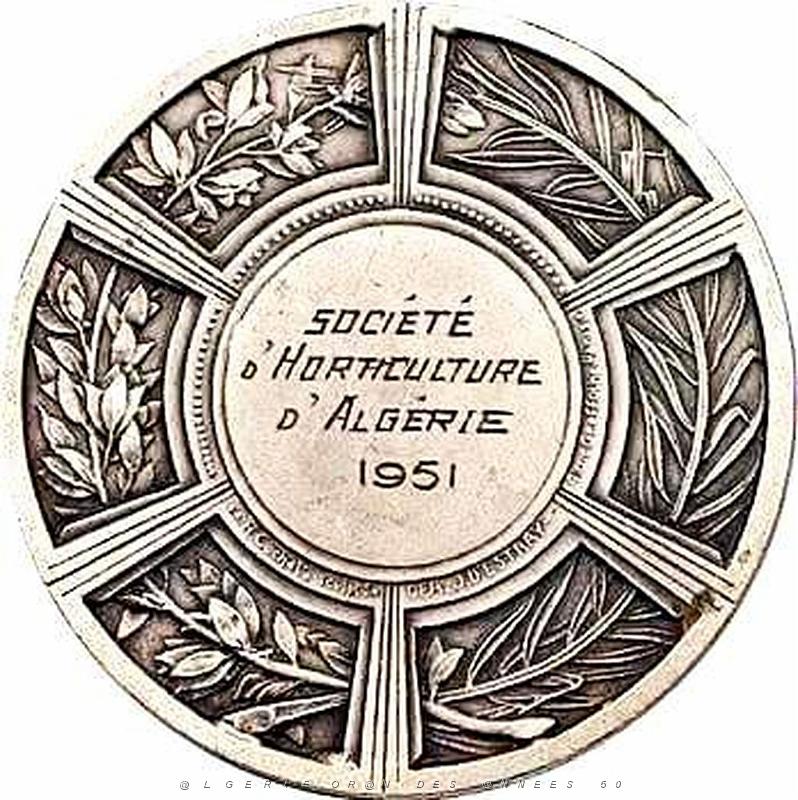MEDAILLES D AFN 176.jpg